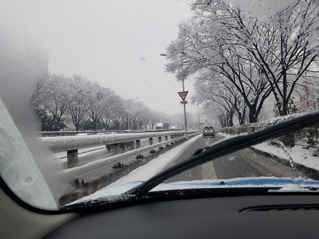 20180308_083601.jpg