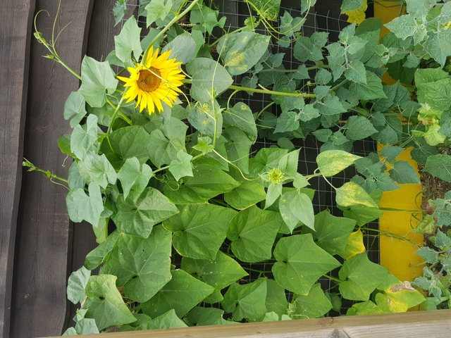 20180728_140552.jpg