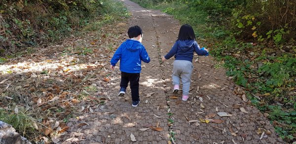 20181023_112445.jpg