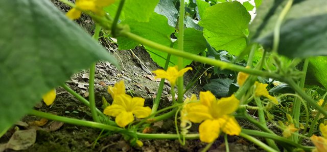 20220201_101722.jpg