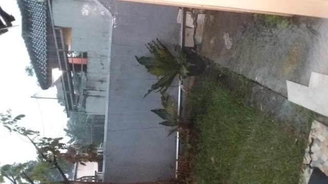 20181103_163205.jpg