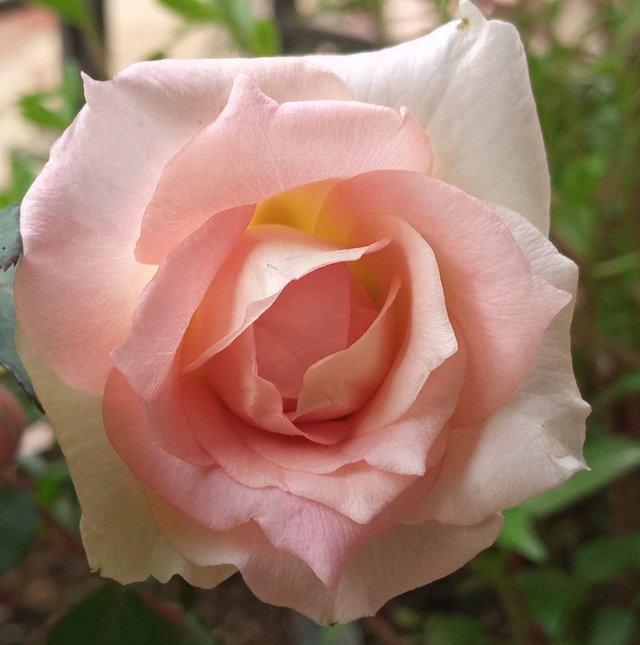 20230223_080545.jpg
