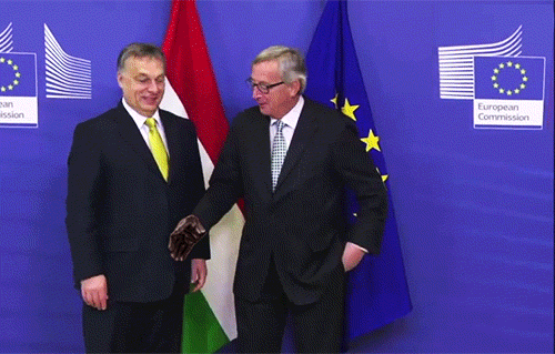 handshake gif.gif