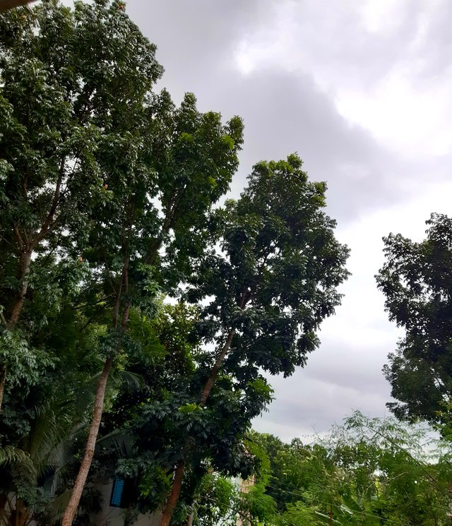 20220810_173231.jpg