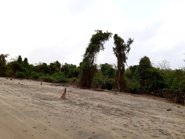 20220602_160922.jpg