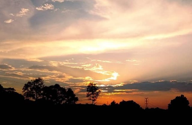 20190520_034731.jpg