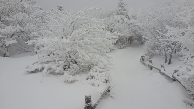 20140209_082511.jpg
