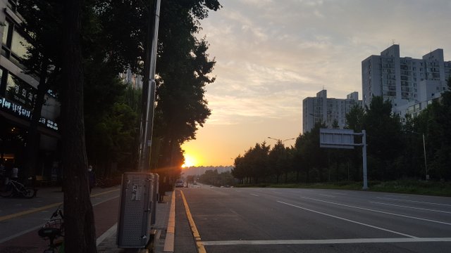 20210619_193911.jpg