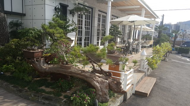 20181011_150614.jpg
