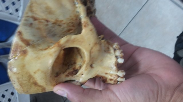 20180604_091146.jpg
