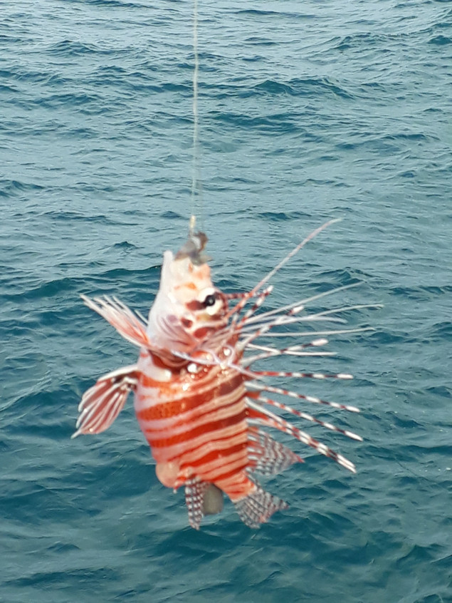 20180219_174120.jpg