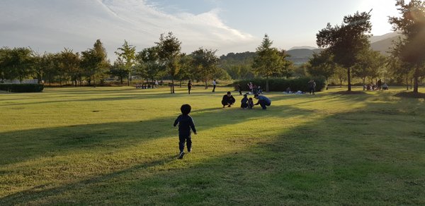 20181007_170723.jpg