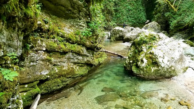 20180721_090241.jpg