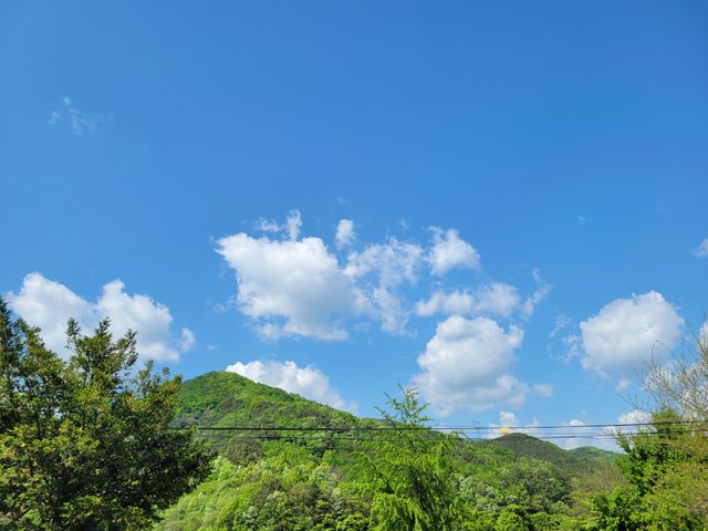 20210502_151250.jpg