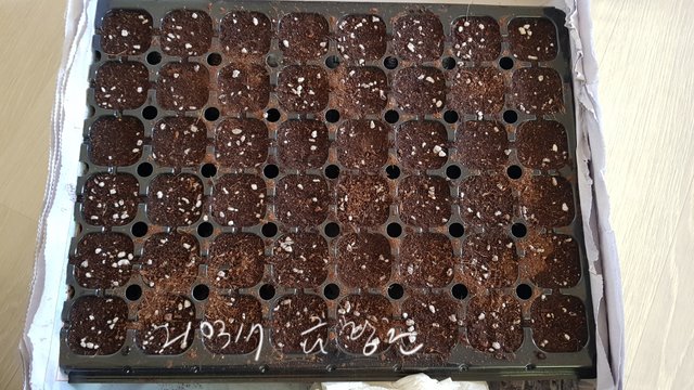 20210317_123450.jpg