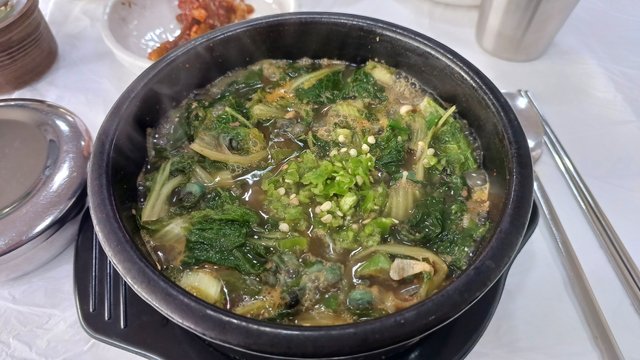 20230512_081313.jpg