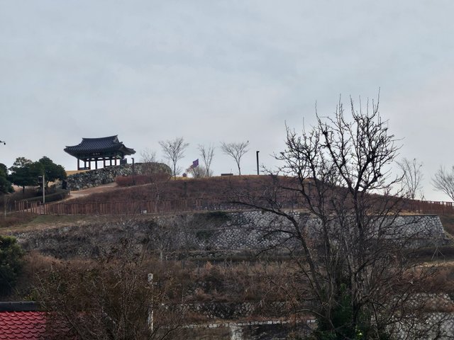 20250118_162219.jpg