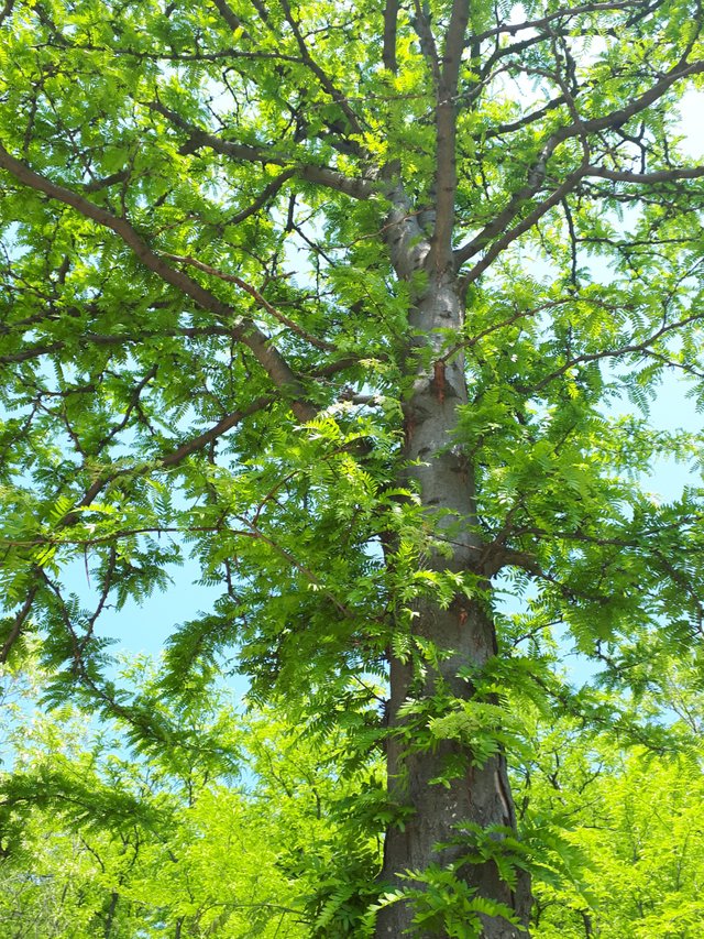 20180429_111441.jpg