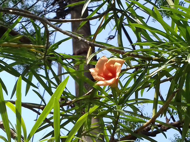 20180428_144820.jpg