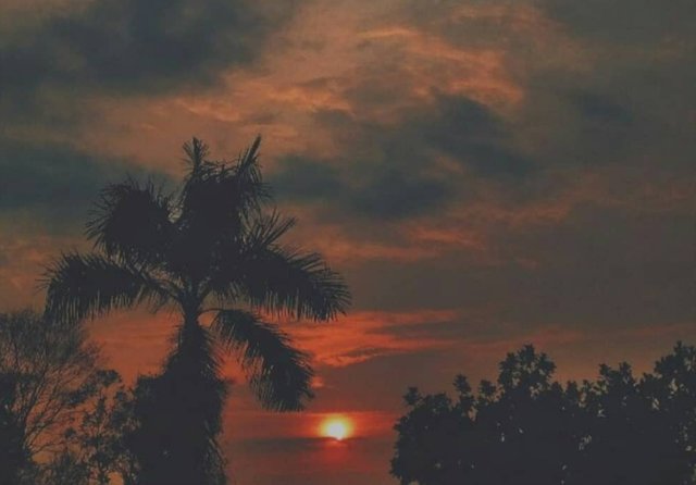 20190520_034226.jpg
