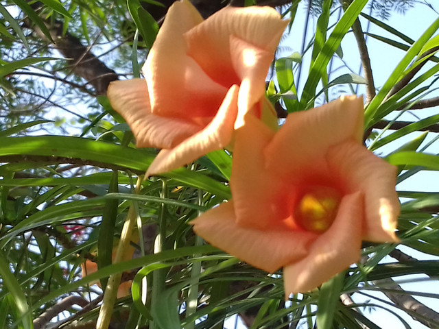 20180428_144747.jpg