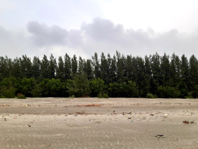 20220602_162047.jpg