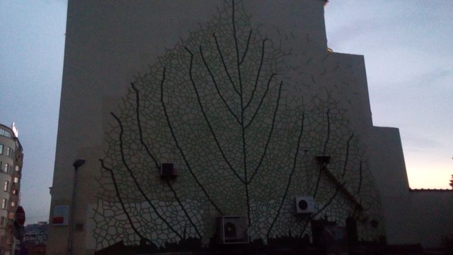 20190623_203251.jpg
