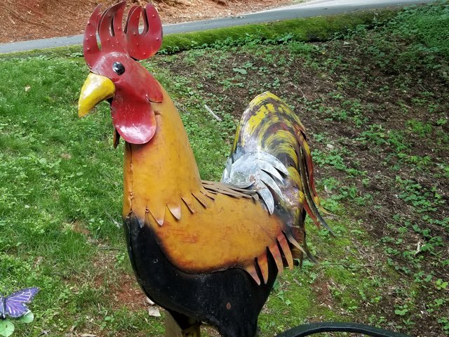 20190602_145453.jpg