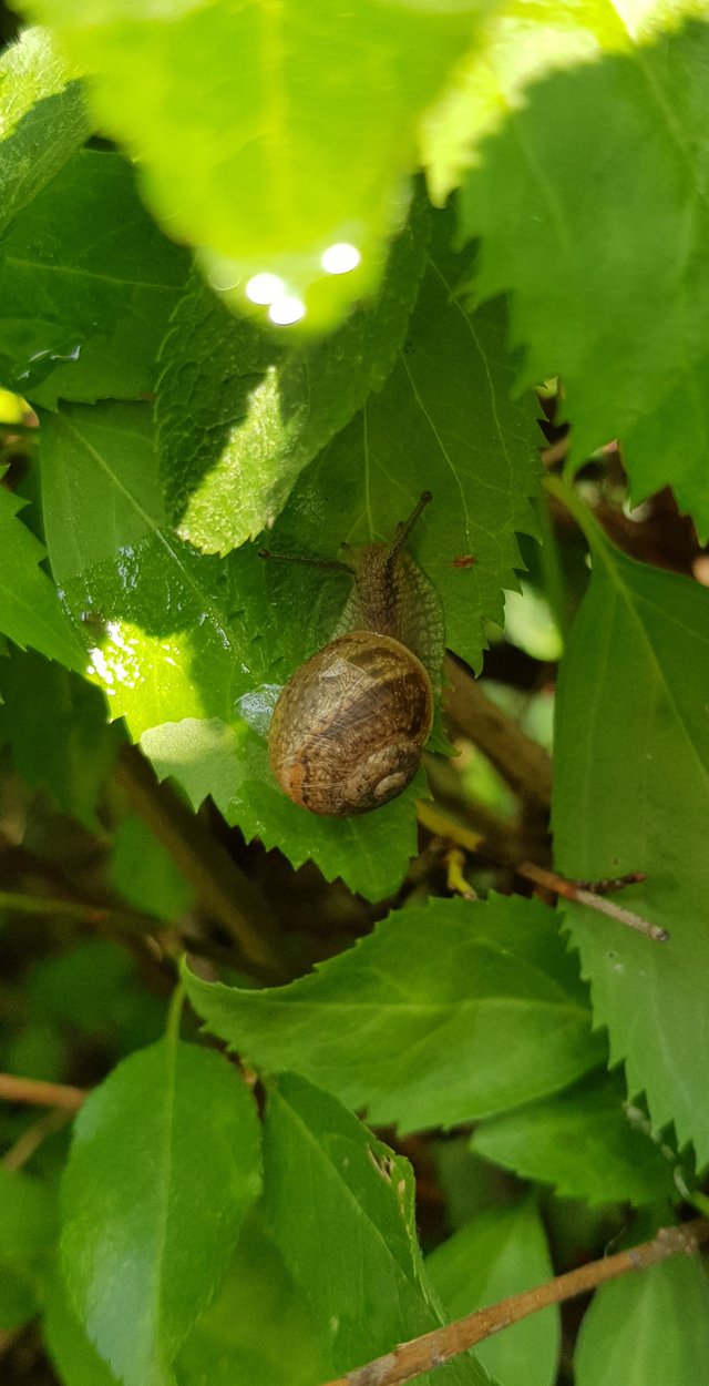 20190528_083304.jpg