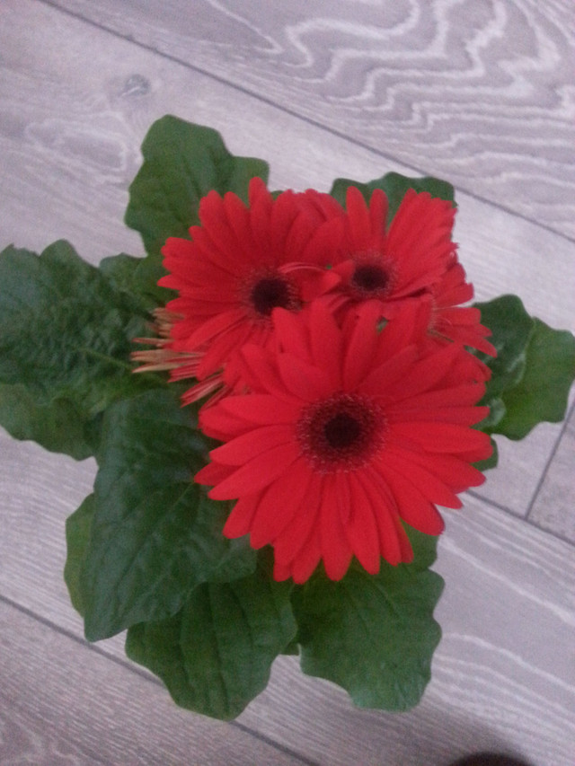 20180518_080358.jpg