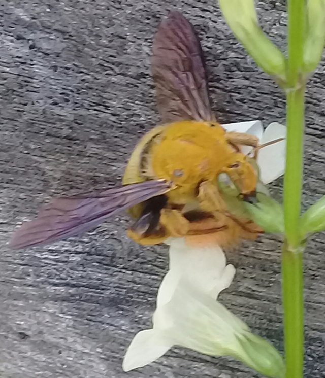 20180912_132852.jpg