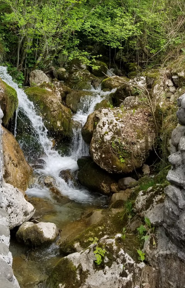20180721_085704.jpg