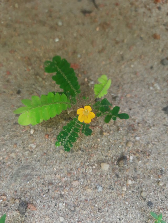 20200901_103022.jpg