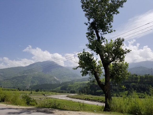 20180815_111016.jpg