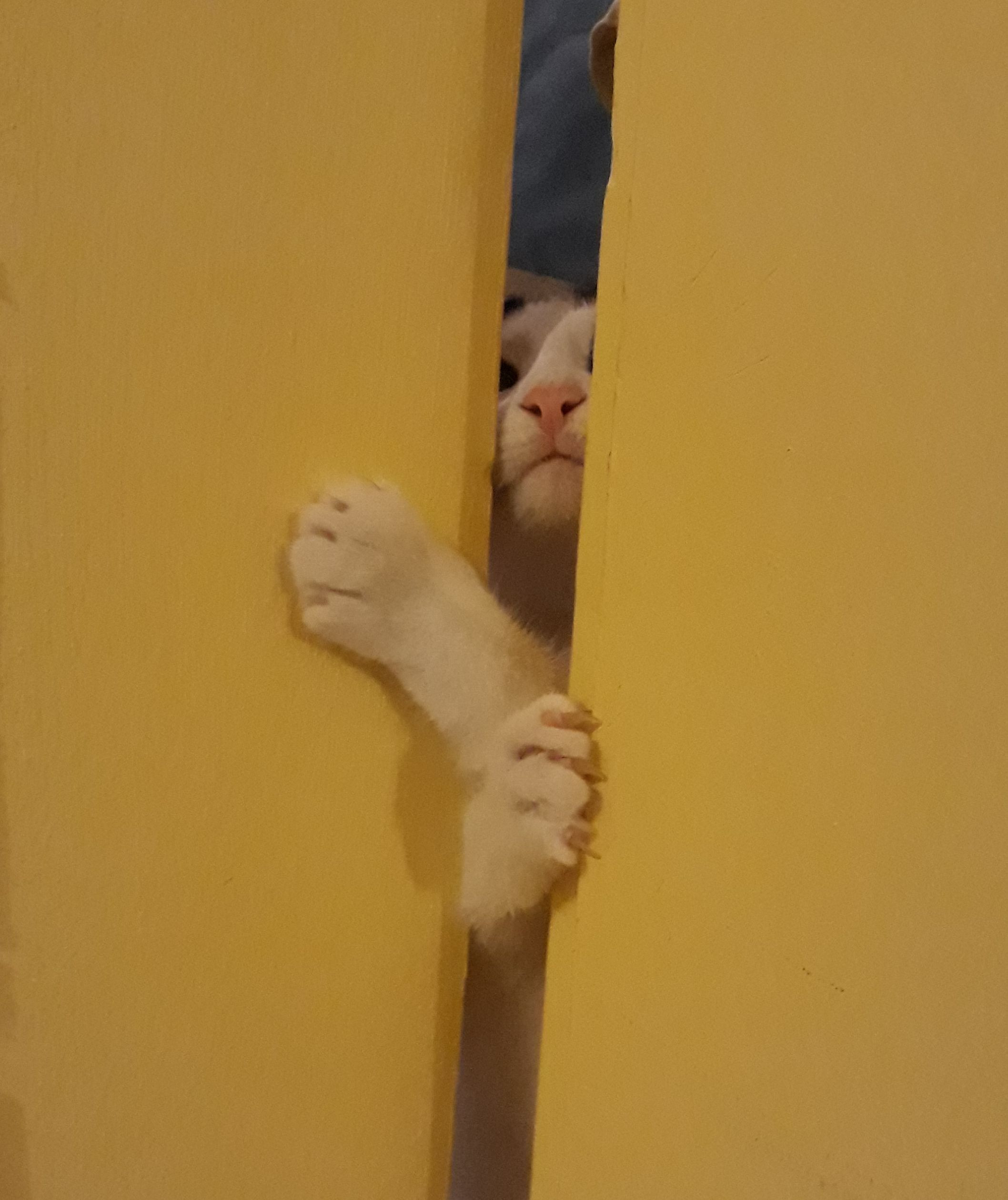 20180329_074838.jpg