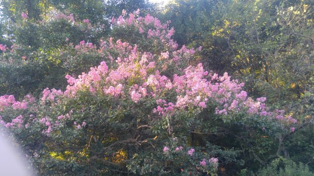 20180909_180833.jpg