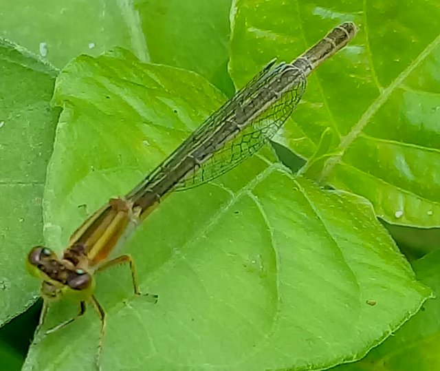 20180827_160042.jpg