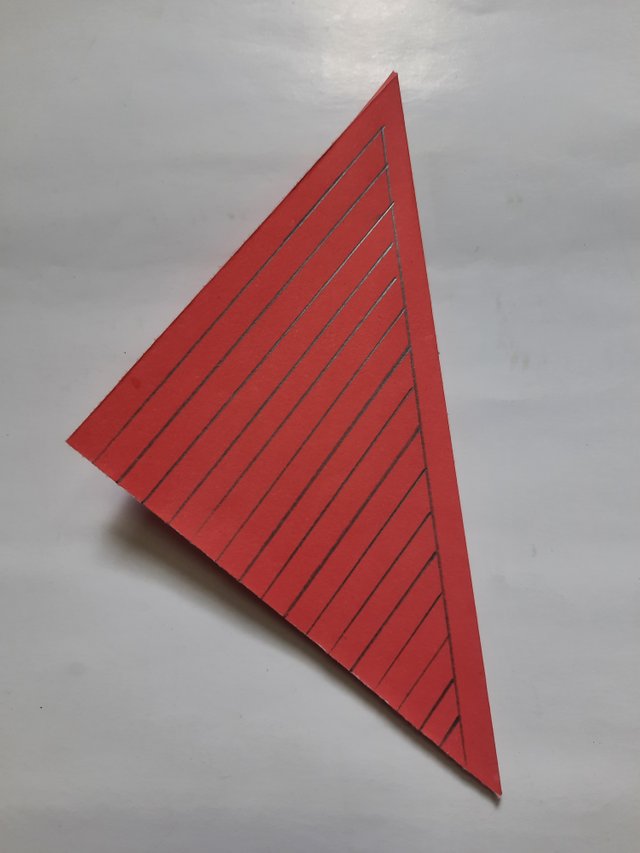 20220312_094558.jpg