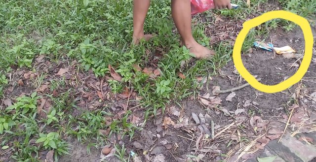 20190726_003120.jpg