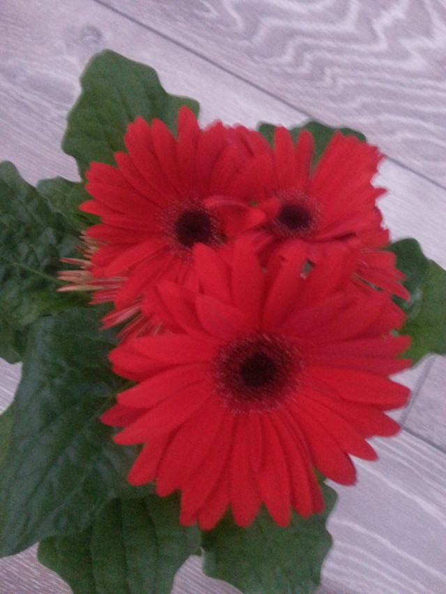 20180518_080353.jpg