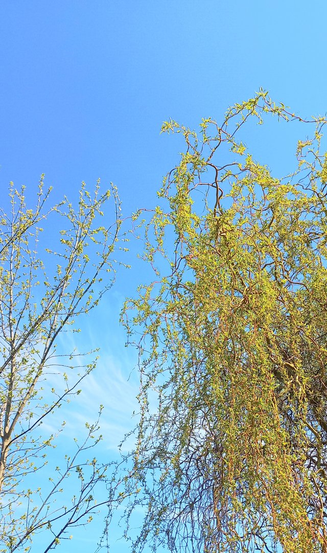 20220427_100539.jpg