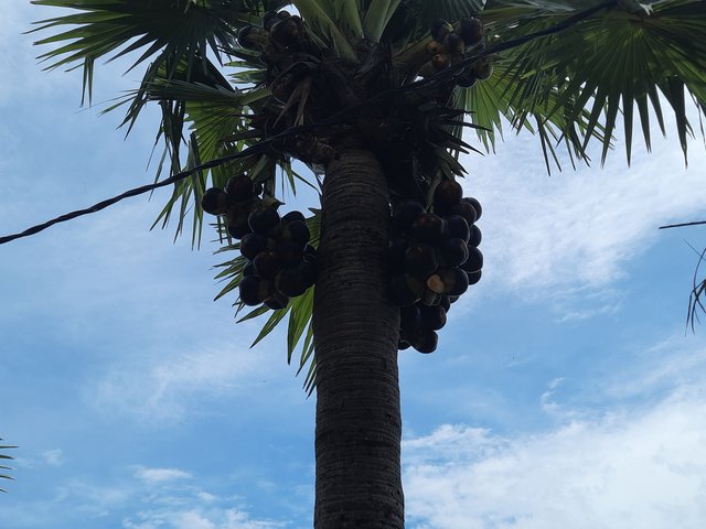 20230801_105159.jpg