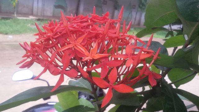 20180627_140550.jpg