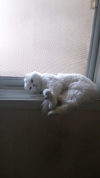 20180624_124652.jpg
