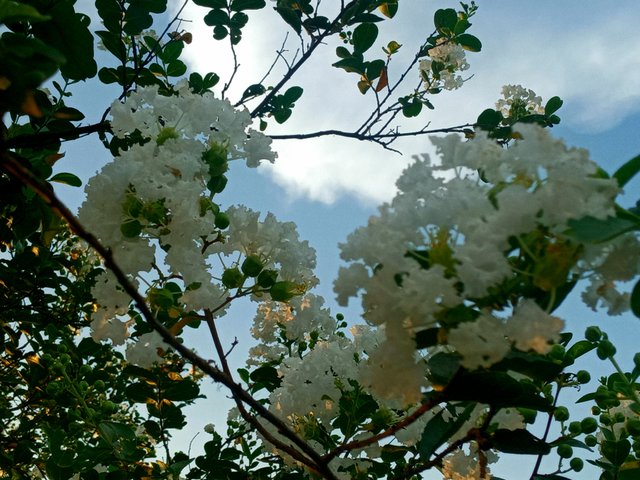 20220730_234250.jpg