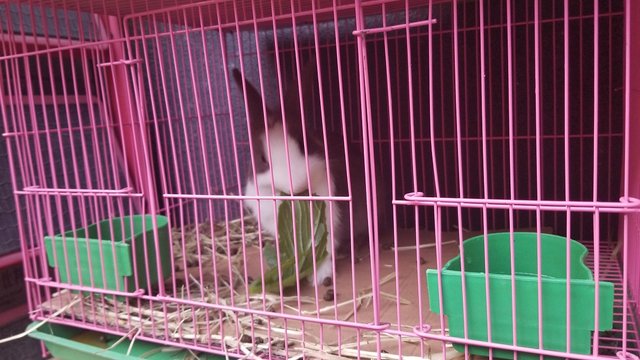 20181013_163910.jpg