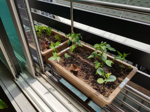 20180505_123548.jpg