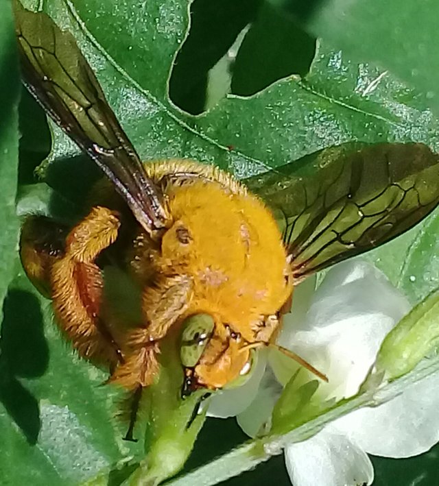 20180912_132637.jpg