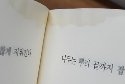 20180418_110612.jpg