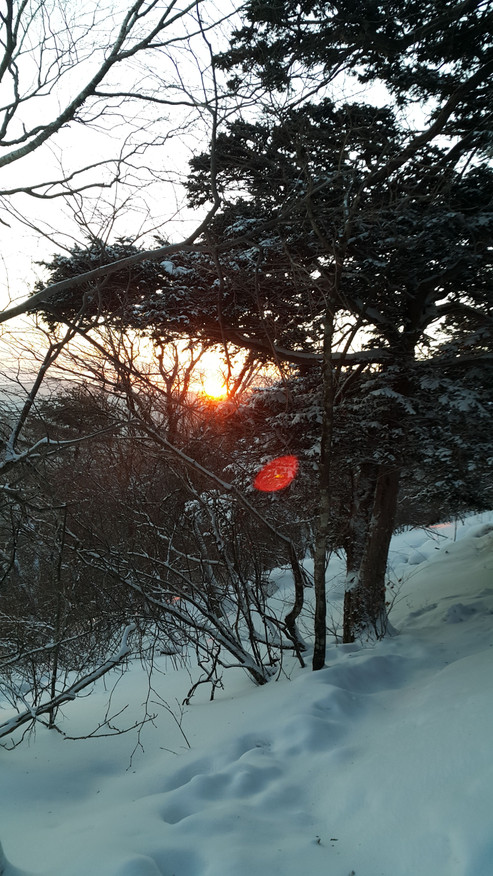 20150212_071850.jpg